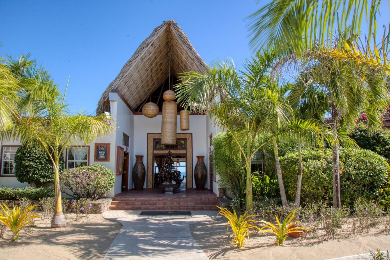 The Lodge At Jaguar Reef Hopkins Dış mekan fotoğraf
